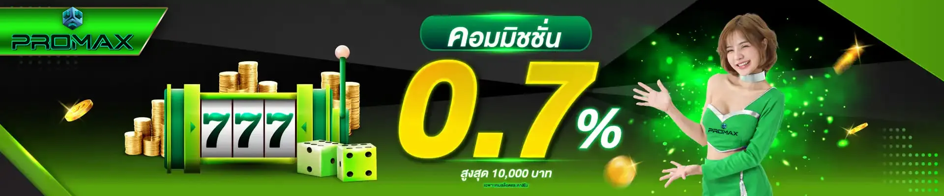 PROMAX24